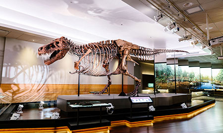 Auction Highlights - Dinosaurs: Hot Trend in Collecting